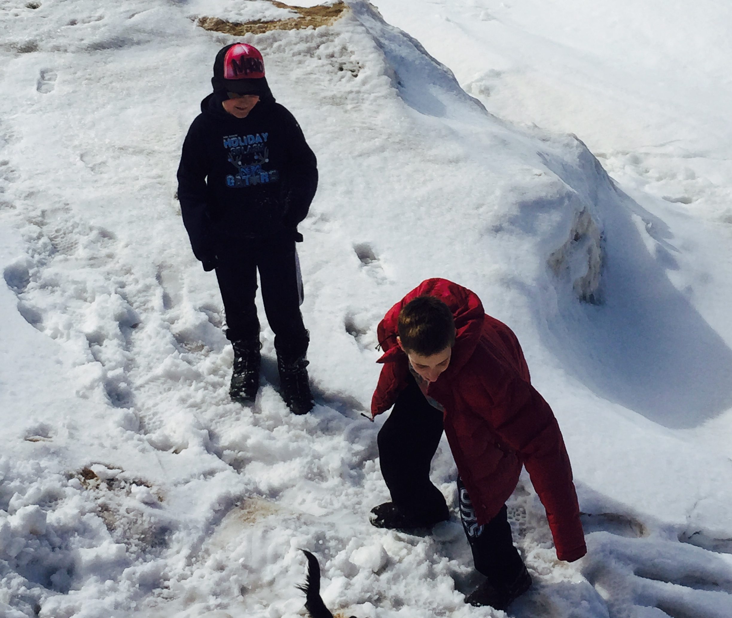 Mamaearth Design Shop